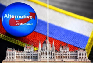 Німецьку ультраправу партію AfD звинувачують в роботі на Кремль. Що шукає AfD у державних даних