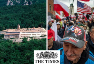 Від риторики до політичного тиску. Як союзники Трампа з руху MAGA культивують європейський спротив – The Times