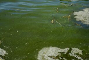 Удар по порту "Південний": в Чорне море стався витік олії