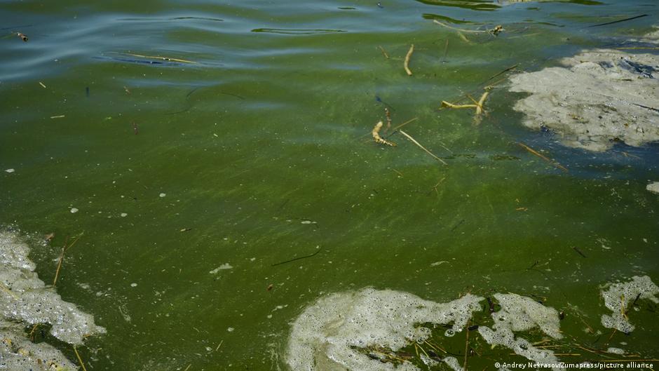Удар по порту "Південний": в Чорне море стався витік олії