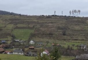 АРМА продало 460 га землі на полонині Боржава родині Льовочкіних за майже 90 млн грн, – ЗМІ