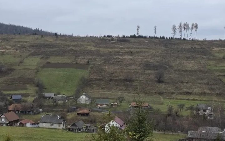 АРМА продало 460 га землі на полонині Боржава родині Льовочкіних за майже 90 млн грн, – ЗМІ