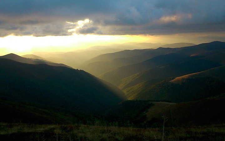 АРМА відмовилося підписати протокол "Прозорро.Продажі" про продаж 460 га на полонині Боржава