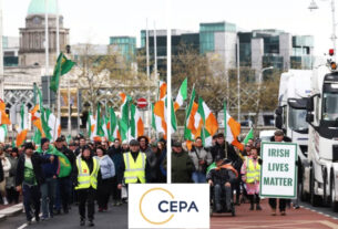 Ірландія в кризі. Попередження для Європи – CEPA