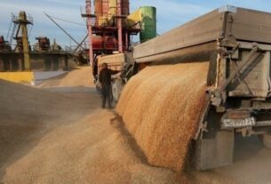 ЄС мобілізував допомогу для тимчасового зберігання українського зерна