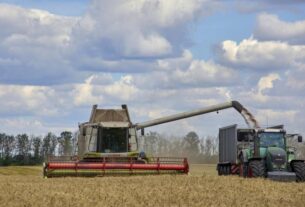 Уряд продовжив строки розрахунків за експорт агропродукції