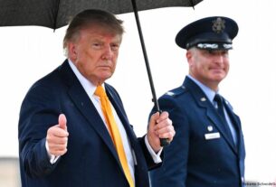 Трамп привітав АдН з перемогою: Популісти на підйомі