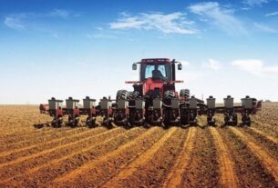 Українські аграрії засіяли майже 50% прогнозованої площі озимих культур