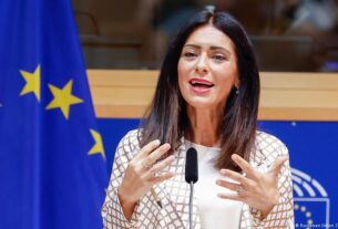 Віцепрезидентка ЄП: Своїм тілом хочу привернути увагу до Олешок